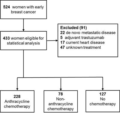 Long-term and real-life incidence of cancer therapy-related cardiovascular toxicity in patients with breast cancer: a Swedish cohort study